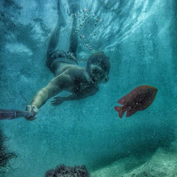 Meet your Posher, George - Picture 1 of 1